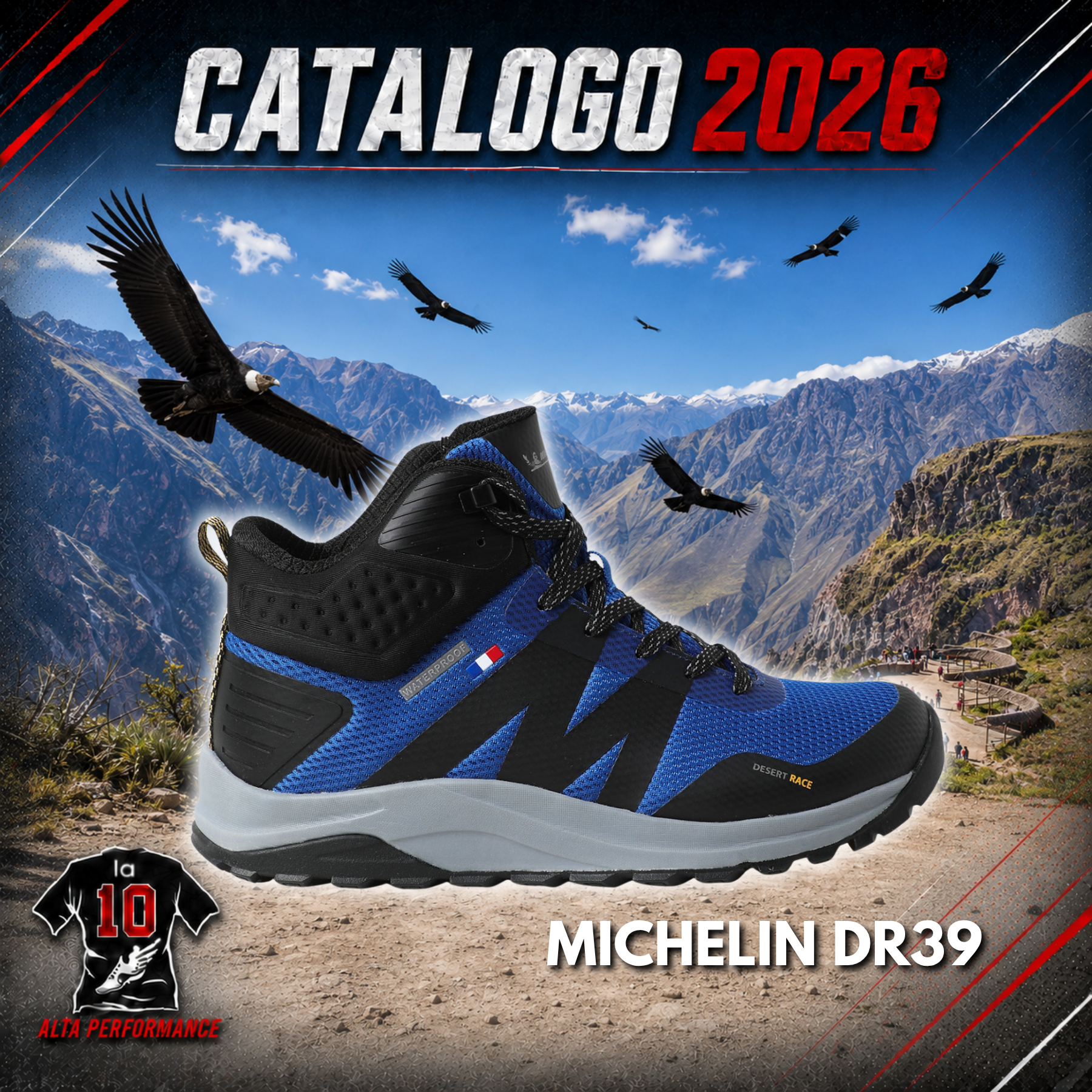 MICHELIN DR39